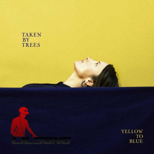 Taken by Trees - Yellow to Blue